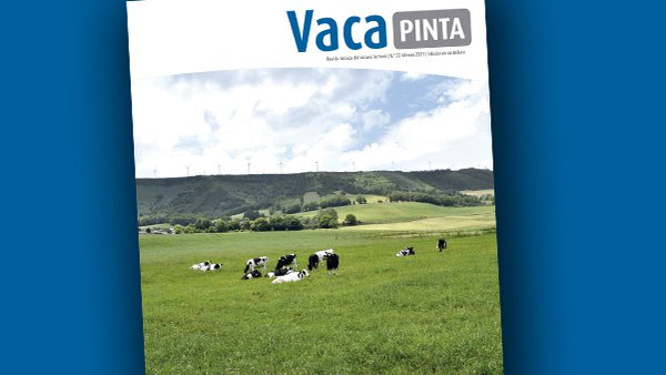 Continuamos a celebración do noso terceiro aniversario coa publicación de Vaca Pinta 22