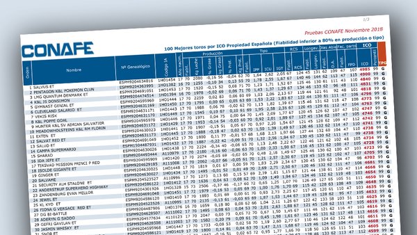 O TOP 100 dos touros xenómicos de España