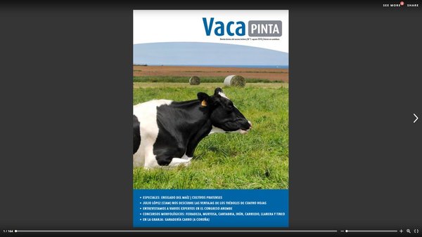 Xa en castelán Vaca Pinta 5!