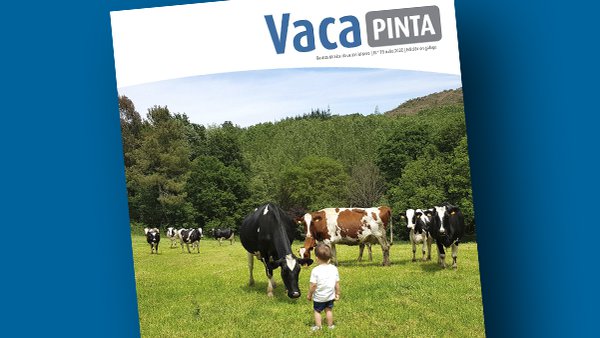Vaca Pinta 18, también disponible en gallego