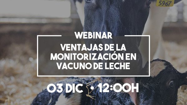 Último webinar do ano da serie `Rumiando los jueves´ de MSD Animal Health
