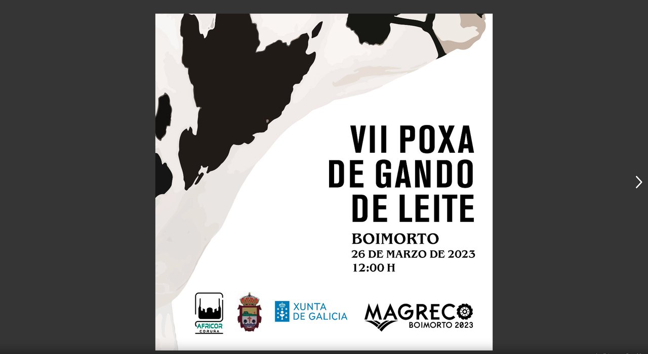 Gandería Xesteiro volveu comprar o animal máis caro por 4.100 euros