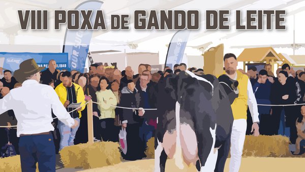 El libro de la VIII Subasta de Boimorto, ya disponible
