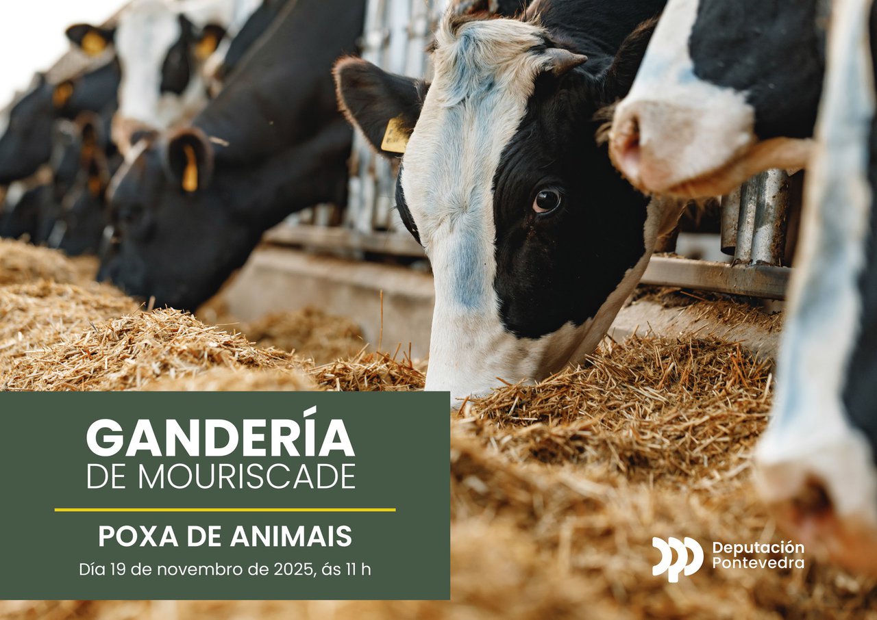 Mouriscade subastará una veintena de animales el próximo 19 de noviembre con todas las garantías sanitarias