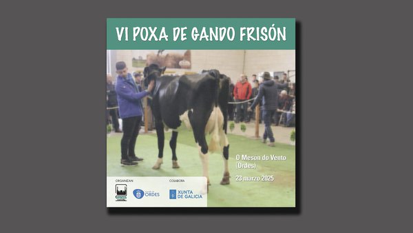 Disponible el libro de la VI Subasta de Ganado Frisón de Ordes, que tendrá lugar este domingo
