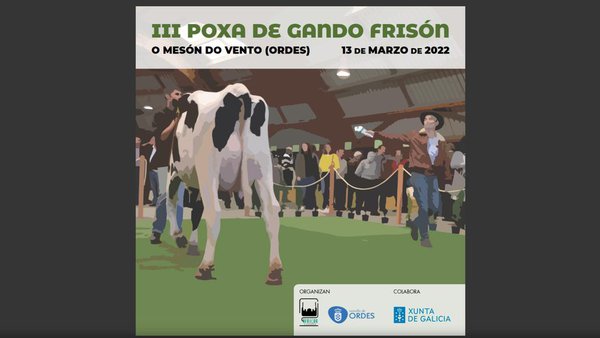Dispoñible o libro da III Poxa de Gando Frisón de Ordes, que terá lugar este domingo