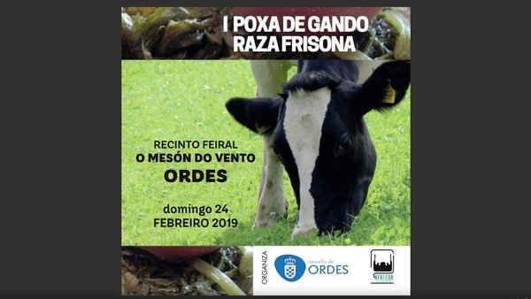 Xa dispoñible o catálogo da I Poxa de Gando Frisón en Ordes de Africor Coruña