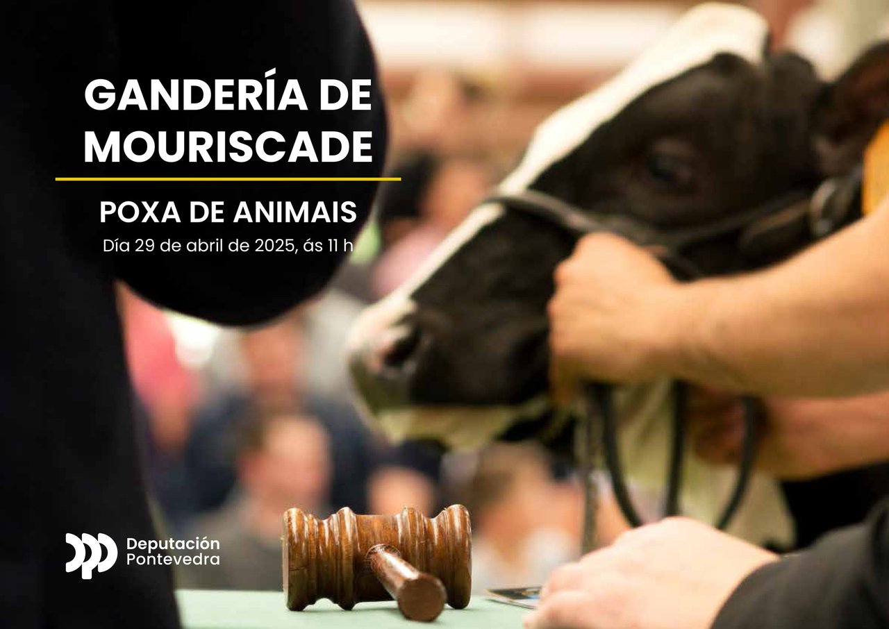 Disponibles todos los detalles de los animales que se subastarán en Mouriscade el próximo 29 de abril