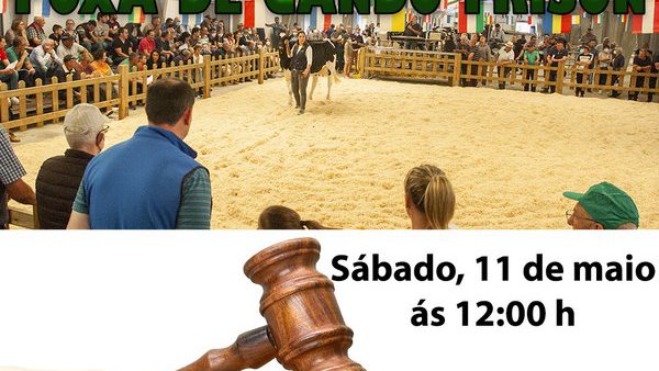 Catálogo de la nueva subasta de ganado frisón de Sarria