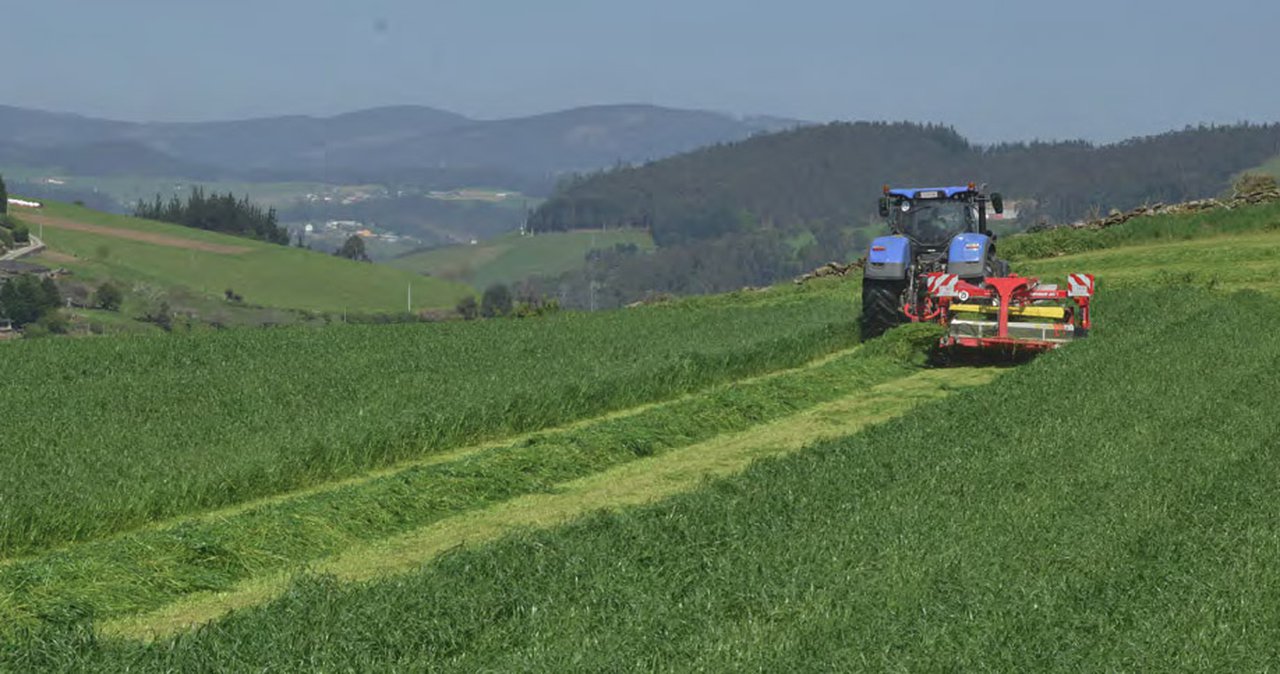 Protocolos de mostraxe para a predición do rendemento de forraxes e cultivos forraxeiros