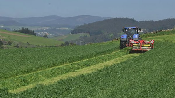 Protocolos de mostraxe para a predición do rendemento de forraxes e cultivos forraxeiros