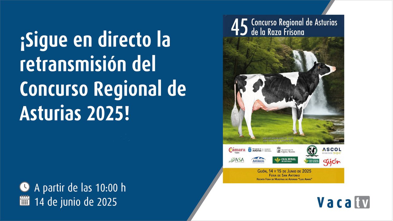Vaca TV transmite en directo a 45.ª edición do Concurso Rexional de Asturias