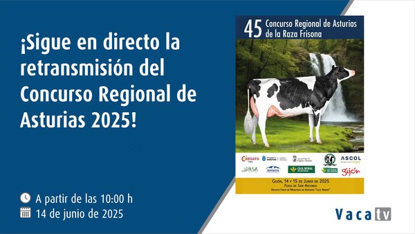 Vaca TV transmite en directo a 45.ª edición do Concurso Rexional de Asturias