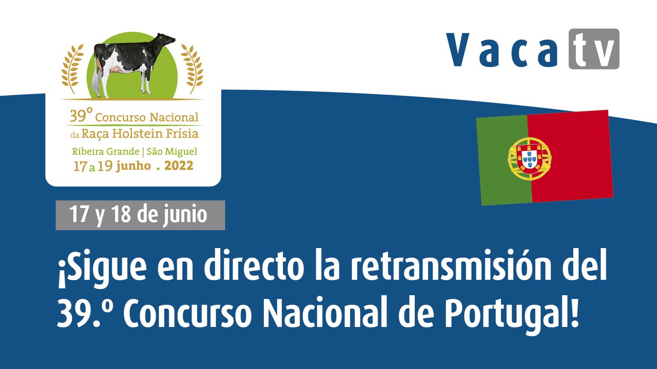 O Concurso Nacional de Portugal, esta fin de semana desde Azores
