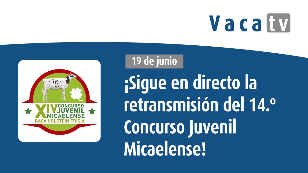 O Concurso Xuvenil Micalense, en directo desde Vaca Pinta
