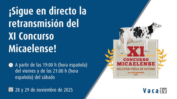 Vaca TV ofrecerá en directo, este venres e sábado, o XI Concurso de Outono de Azores