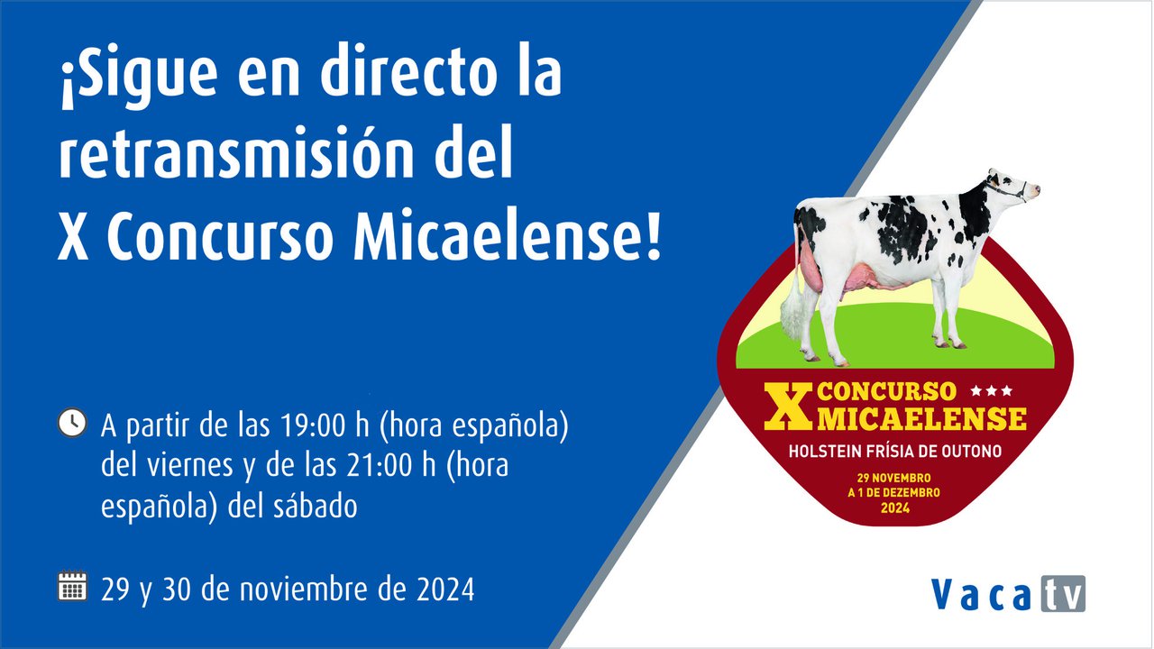 El concurso frisón de otoño en Azores alcanza su décima edición este fin de semana