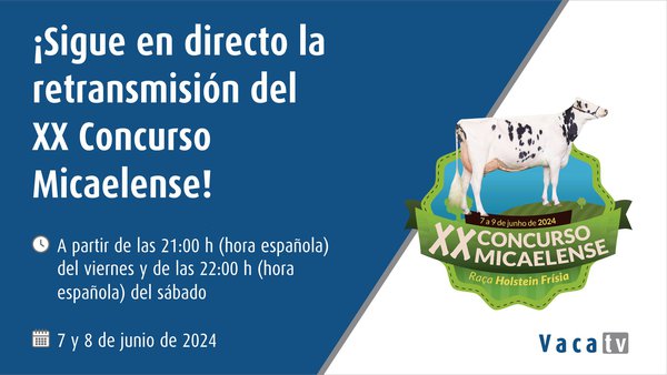 Vaca TV, desde Azores en directo