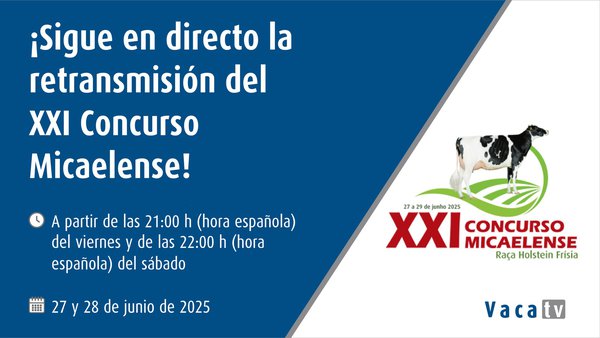 Sigue en directo esta fin de semana o XXI Concurso Micaelense de Azores con Vaca TV