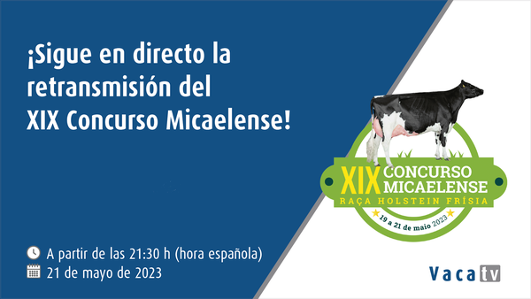 Vaca Pinta emite en directo esta fin de semana o XIX Concurso Micaelense de Azores