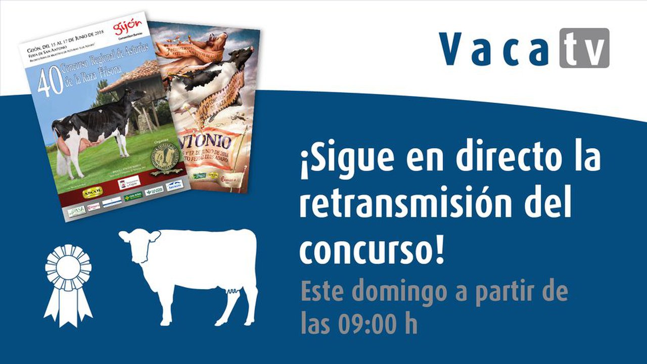 Este domingo, Vaca TV en directo dende Gijón!