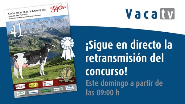 Vaca TV, ¡en directo desde Gijón!