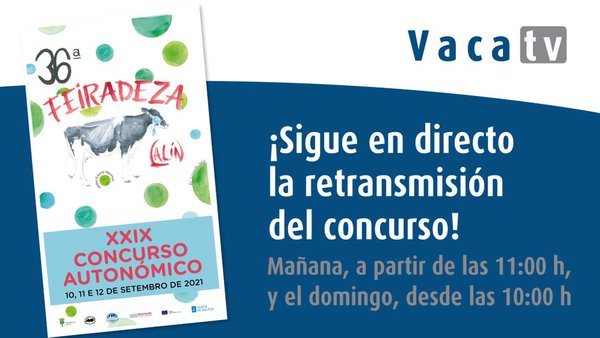 Vaca TV, en directo desde Lalín!