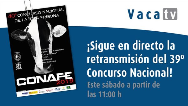 Sigue en directo a retransmisión do Concurso Nacional da Raza Frisona dende vacapinta.com