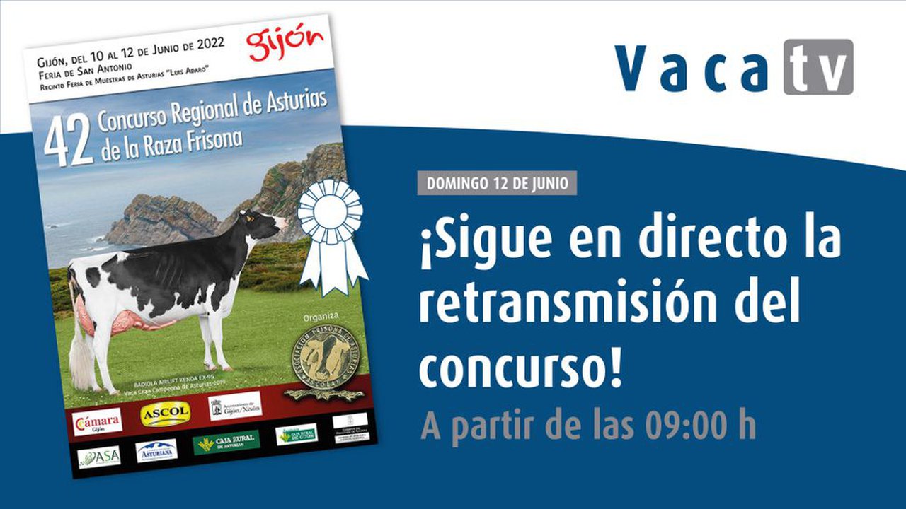 O 42.º Concurso Rexional de Asturias, o domingo en directo en Vaca Pinta