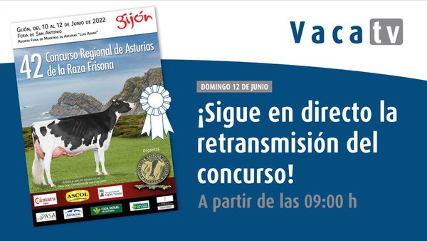 O 42.º Concurso Rexional de Asturias, o domingo en directo en Vaca Pinta