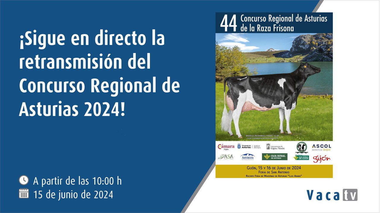 El Regional de Asturias, en directo con Vaca TV
