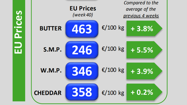 Subida xeneralizada nos prezos dos produtos lácteos na UE durante as últimas semanas