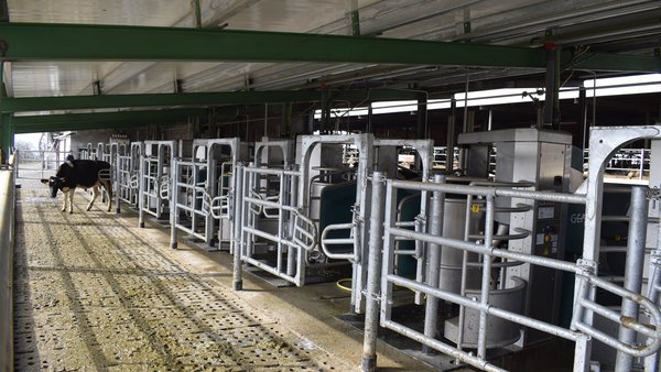 Unha docena de robots GEA para o primeiro Batch Milking de Castela e León