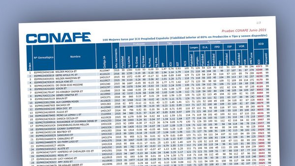 Coñecemos os TOP 100 dos mellores sementais españois por ICO