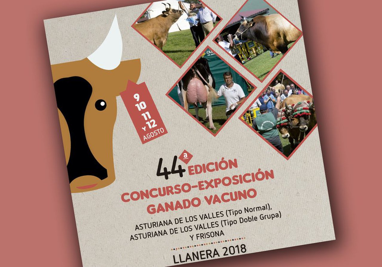 O programa do concurso vacún de Llanera, xa on line!