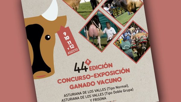 O programa do concurso vacún de Llanera, xa on line!