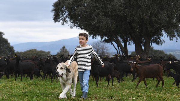 La Inlac anima a los consumidores a escoger alimentos lácteos españoles durante la vuelta al cole