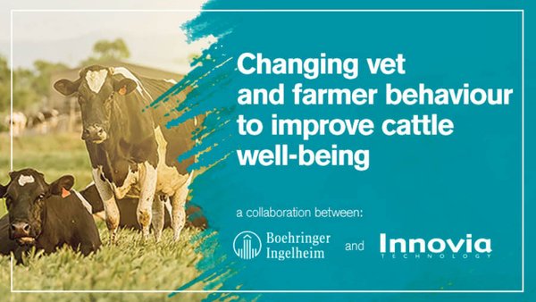 Boehringer Ingelheim pon en marcha un proxecto para a mellora do benestar animal
