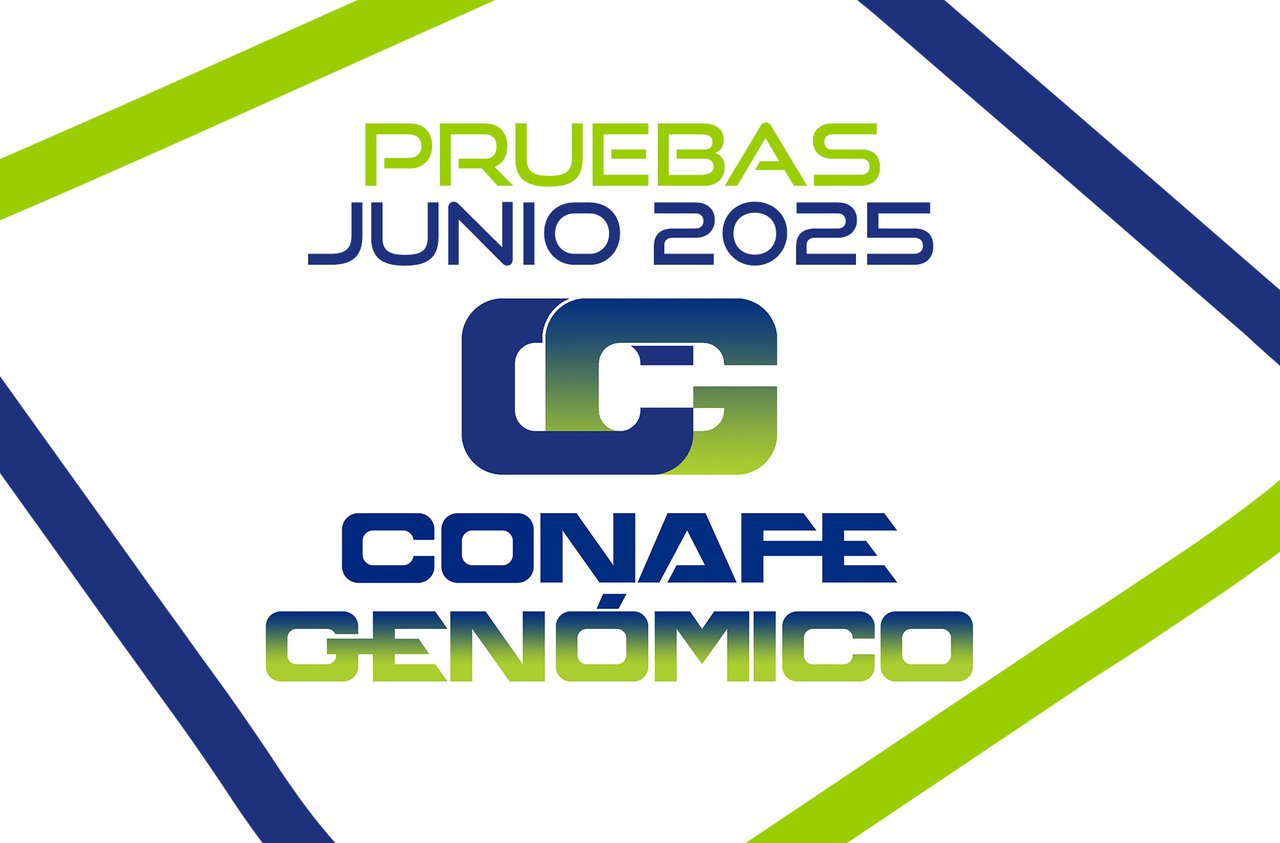 CONAFE actualiza a base genética da raza frisona na súa avaliación de xuño de 2025