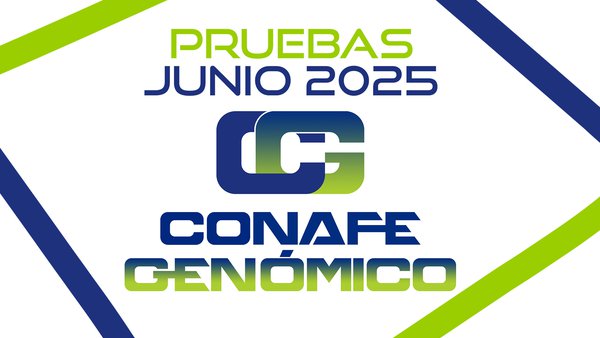 CONAFE actualiza a base genética da raza frisona na súa avaliación de xuño de 2025