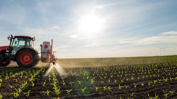 Protexer a túa granxa é protexer o teu futuro: a importancia dun seguro gandeiro completo con Ucoga