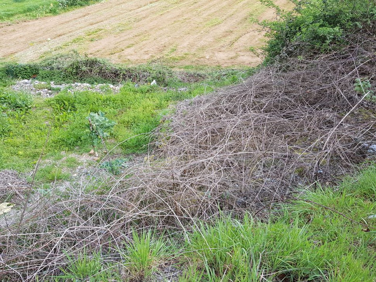 Solicitar permisos para quemas agrícolas será posible desde mañana
