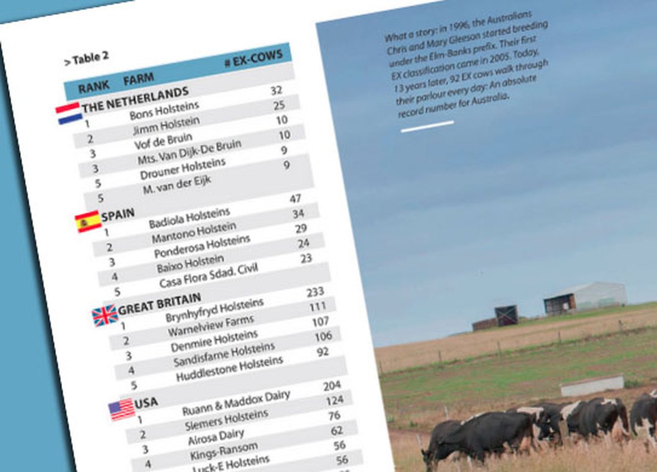 Badiola e Mantoño lideran o ranking español de granxas con máis vacas EX da revista Holstein Internacional
