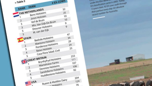 Badiola e Mantoño lideran o ranking español de granxas con máis vacas EX da revista Holstein Internacional
