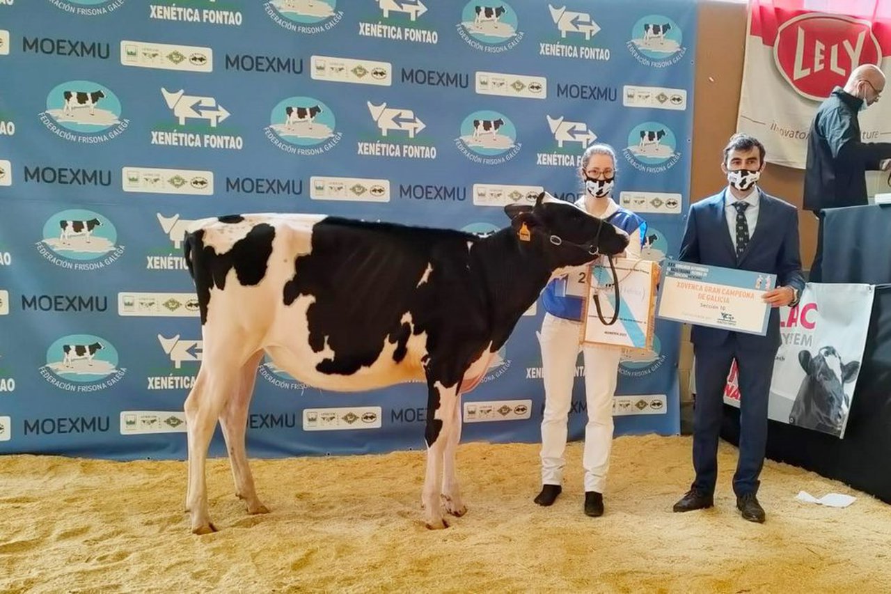 Casa-Nova Shania Mooving 1481 lévase o premio de novilla gran campeona