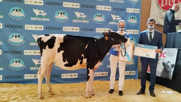 Casa-Nova Shania Mooving 1481 lévase o premio de novilla gran campeona