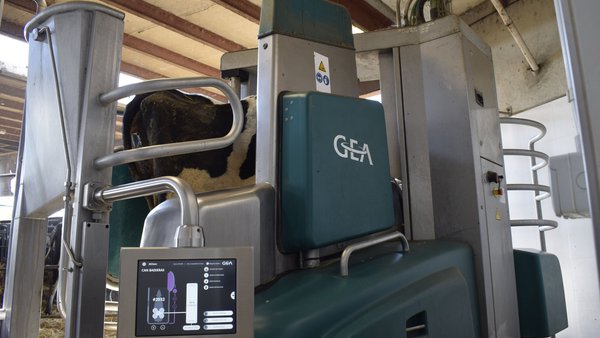 A proba da DLG alemá confírmao: O robot de muxido de GEA é significativamente máis eficiente economicamente