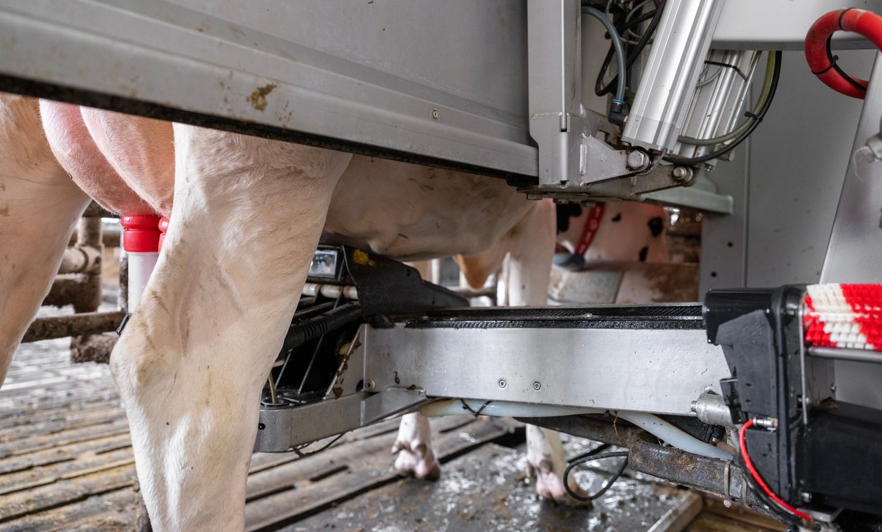 Delagro presenta MEPA, su nueva solución para mejorar la higiene en granjas robotizadas