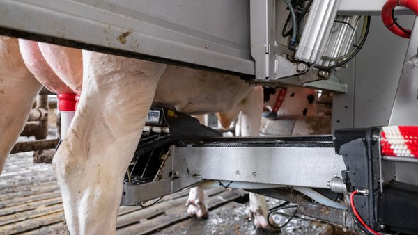 Delagro presenta MEPA, su nueva solución para mejorar la higiene en granjas robotizadas