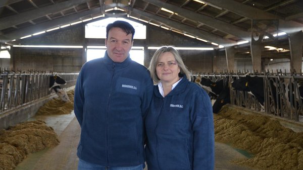 Jobsynch, la clave para mejorar la gestión de la mano de obra en granjas de vacuno de leche